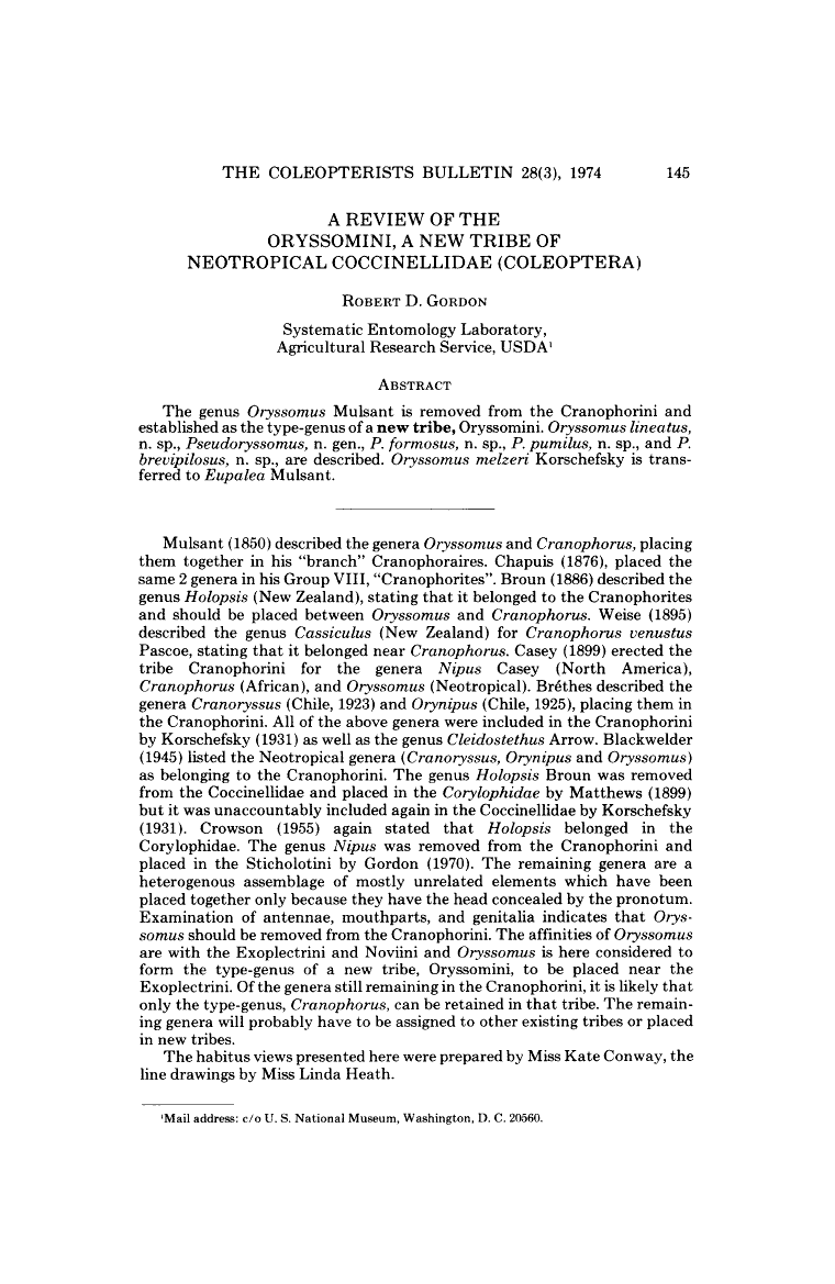 A Review of the Oryssomini, a New Tribe of Neotropical Coccinellidae (Coleoptera)